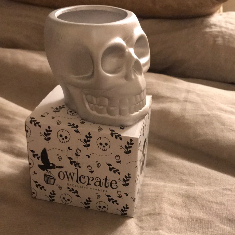 Owlcrate exclusive skull planter